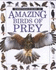 Amazing Birds/Prey (Eyewitness Juniors)