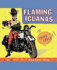 Flaming Iguanas: an Illustrated All-Girl Road Novel Thing