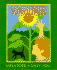 Sunflower: Level B