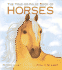 The True-Or-False Book of Horses