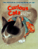 Curious Cats: in Art and Poetry