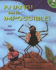 Anansi Does the Impossible! : an Ashanti Tale (Aladdin Picture Books)