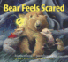 Bear Feels Scared (the Bear Books)