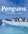 Penguins: the Ultimate Guide