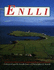 Enlli (Welsh Edition)