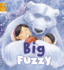 Big and Fuzzy (Level 2) (Reading Gems)