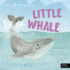 Little Whale (Really Wild Families)