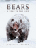 Bears: a Year in the Life