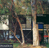 Eames House: Charles and Ray Eames