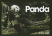 Panda: an Intimate Portrait of One of the World's Most Elusive Animals