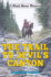 The Trail to Devil's Canyon (Black Horse Western)