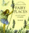 Fairy Places Pop-Up: Little Flower Fairy Pop Up