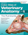 Color Atlas of Veterinary Anatomy, Volume 1, the Ruminants