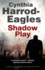 Shadow Play: a British Police Procedural: 20 (a Bill Slider Mystery, 20)
