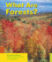 What Are Forests?