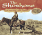 The Shoshone: Pine Nut Harvesters of the Great Basin