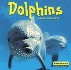 Dolphins (World of Mammals)