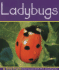 Ladybugs (Insects)
