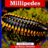 Millipedes