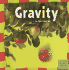 Gravity (Our Physical World)