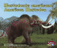 Mastodonte Americano/American Mastodon