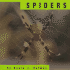 Spiders (Animals (Mankato, Minn.). )