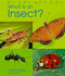 What is an Insect?