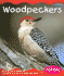 Woodpeckers (Woodland Animals)