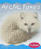 Arctic Foxes (Polar Animals)