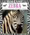 Zebra: Habitats, Life Cycles, Food Chains, Threats (Natural World)