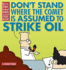 Don't Stand Where the Comet is Assumed to Strike Oil: a Dilbert Book
