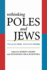 Rethinking Poles and Jews Format: Paperback