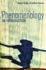 Phenomenology: an Introduction