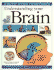 Understanding Your Brain (Usborne Understanding Science)