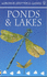 Ponds and Lakes (Spotter's Guide)