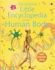 Little Book of the Human Body (Miniature Editions)
