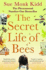 The Secret Life of Bees: the Stunning Multi-Million Bestselling Novel About a Young Girl's Journey; Poignant, Uplifting and Unforgettable