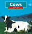 Cows (Farm Animals)