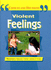 Violent Feelings: Modern Issues That Affect You (Choices and Decisions)