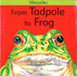 From Tadpole to Frog (Lifecycles)