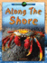 Along the Shore (Oceans Alive)