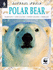 Polar Bear: Habitats, Life Cycles, Food Chains, Threats (Natural World)