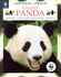 Giant Panda (Natural World)