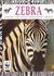 Zebra (Natural World)