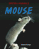 Mouse (British Animals)