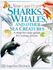 Sharks and Whales (You Can Draw)