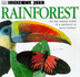 Rainforest (Look Closer)