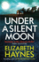 Under a Silent Moon (Detective Inspector Louisa Smith)