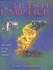 Irish Empire