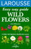 Easy Way to Wild Flower Recognition (Larousse Easy Way Guides)